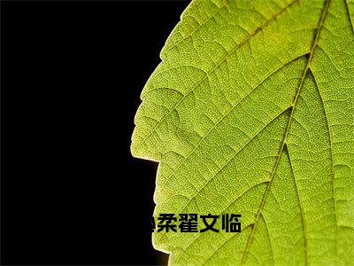 翟文临江心柔的小说主角（江心柔翟文临）免费阅读_江心柔翟文临热搜小说完结版阅读