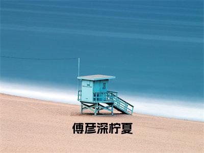 傅彦深柠夏（柠夏傅彦深）全文免费阅读无弹窗大结局_傅彦深柠夏完整版在线阅读章节列表_笔趣阁