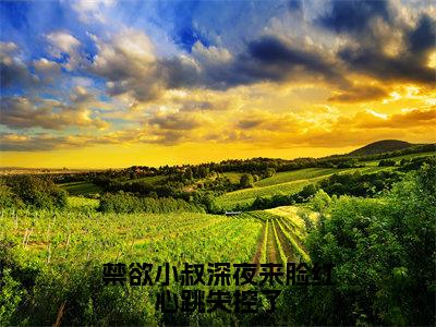 禁欲小叔深夜来脸红心跳失控了（阮念念）全文免费阅读_（阮念念）最新章节列表笔趣阁（阮念念）