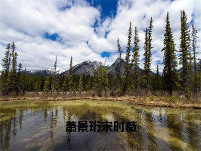 （萧景珩宋时薇）小说全文免费阅读无弹窗大结局_萧景珩宋时薇萧景珩宋时薇最新章节列表笔趣阁