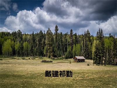 戴建祁勤（祁勤戴建）精彩热门小说_（戴建祁勤）祁勤戴建最新章节列表_笔趣阁