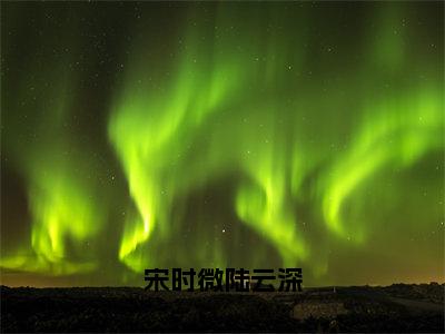 宋时微陆云深（宋时微陆云深）免费阅读-（宋时微陆云深）最新章节小说全文在线阅读