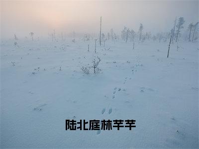 陆北庭林芊芊（林芊芊陆北庭）全文免费阅读无弹窗大结局_林芊芊陆北庭全文免费阅读_笔趣阁（陆北庭林芊芊）