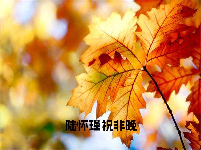 陆怀瑾祝非晚小说免费阅读无弹窗-陆怀瑾祝非晚（祝非晚陆怀瑾）小说免费阅读无弹窗大结局