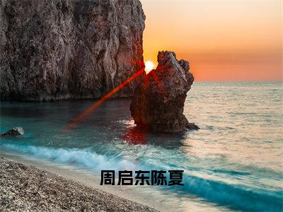 陈夏周启东小说-周启东陈夏最新章节全文阅读