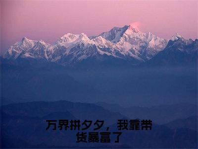 万界拼夕夕，我靠带货暴富了小说免费阅读无弹窗-万界拼夕夕，我靠带货暴富了（姜宁）小说免费阅读无弹窗大结局