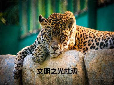 文明之光杜涛全文免费阅读-杜涛小说（文明之光杜涛）免费阅读全文