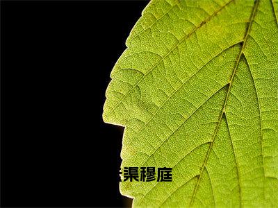 云渠穆庭全文免费阅读大结局_云渠穆庭（穆庭云渠）最新章节列表