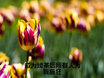 陆有芷免费阅读无弹窗大结局，成为绿茶后所有人为我疯狂（最新全章节）全文阅读免费阅读-笔趣阁