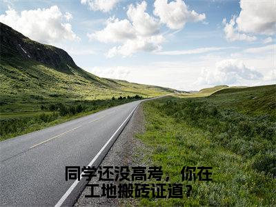 同学还没高考，你在工地搬砖证道？免费小说（顾辞）全本免费阅读-同学还没高考，你在工地搬砖证道？最新章节列表