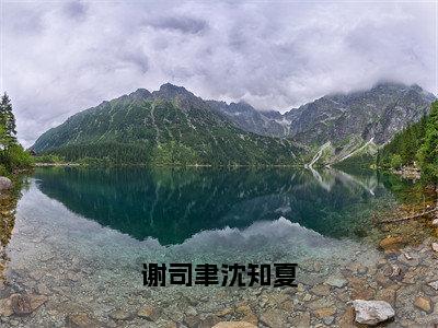 谢司聿沈知夏小说全文免费阅读_（谢司聿沈知夏）谢司聿沈知夏完结版在线阅读最新章节列表笔趣阁