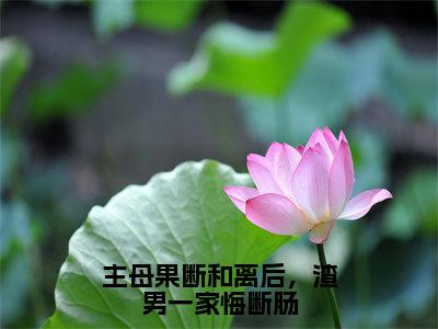 主母果断和离后，渣男一家悔断肠（司年年钟离景）全文免费阅读-主母果断和离后，渣男一家悔断肠（司年年钟离景）全章节完整版在线阅读