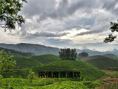 浓情难渡清欢（江承泽苏清雪）小说全文免费阅读无弹窗_（江承泽苏清雪）浓情难渡清欢小说全文免费阅读最新章节列表笔趣阁