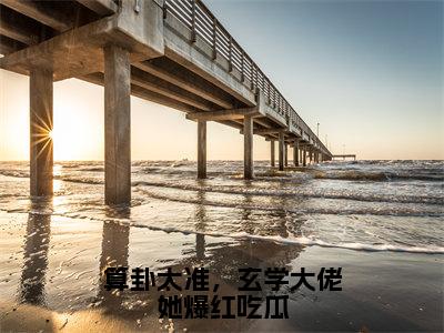 司遥宋闻景算卦太准，玄学大佬她爆红吃瓜全文免费完整版，司遥宋闻景最新章节完整版阅读