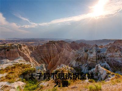 太子殿下想诱拐皇妹为妻小说（楚君临凤安）精彩章节-楚君临凤安全文免费在线阅读