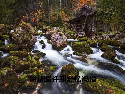 冯澄郑舒忆（深情暗许郑舒忆冯澄）全文在线免费阅读无弹窗_冯澄郑舒忆最新章节列表_笔趣阁