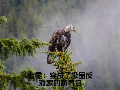 七零：穿成了极品反派家的娇气包（顾笙笙谢九渊）全文小说-七零：穿成了极品反派家的娇气包小说最新章节免费阅读（免费）+（全文）