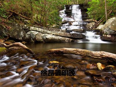 徐昂姜明晚（徐昂姜明晚）全文免费阅读无弹窗大结局_徐昂姜明晚最新章节列表_笔趣阁（徐昂姜明晚）