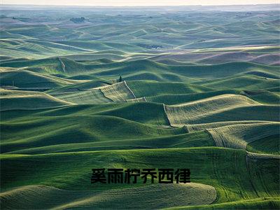 主角是奚雨柠乔西律的小说叫什么名字奚雨柠乔西律精彩结局阅读