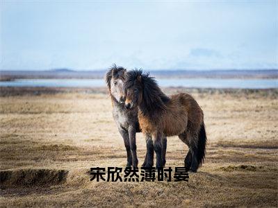 宋欣然薄时晏全文免费阅读-宋欣然薄时晏小说（宋欣然薄时晏）免费阅读全文