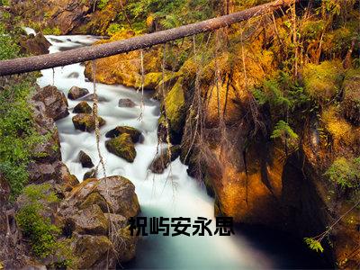 小说（祝屿安永思）_祝屿安永思全文阅读_祝屿安永思免费阅读大结局