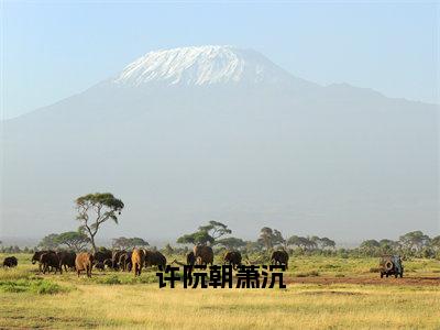 许阮朝萧沉（许阮朝萧沉全章节完整版）免费阅读_（许阮朝萧沉）许阮朝萧沉全文无删减免费阅读