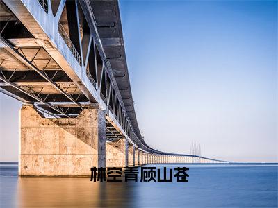 （林空青顾山苍）林空青顾山苍无弹窗免费阅读林空青顾山苍大结局无删阅读_笔趣阁