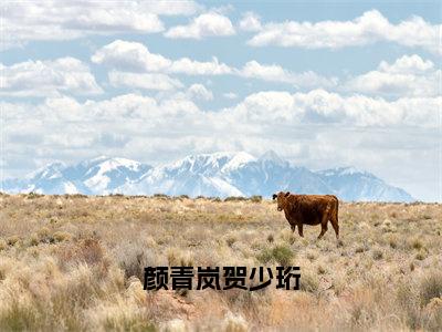 颜青岚贺少珩免费小说-颜青岚贺少珩小说完整版阅读