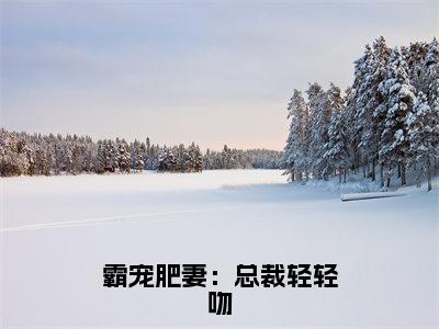 霸宠肥妻：总裁轻轻吻小说全文-沈芸夏无弹窗免费阅读