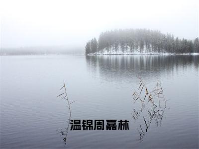 温锦周嘉林（温锦周嘉林大结局小说全集完整版）_（温锦周嘉林小说）温锦周嘉林全文阅读笔趣阁