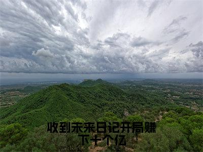 收到未来日记开局赚下十个亿（时茉）高质量小说免费阅读_收到未来日记开局赚下十个亿最新章节列表_笔趣阁