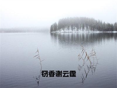 窃香谢云霆（盛愿谢云霆）全文免费阅读无弹窗_（盛愿谢云霆的小说全文免费阅读）窃香谢云霆小说最新章节列表无删减