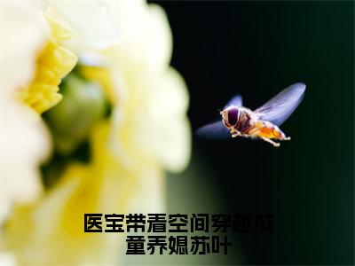 医宝带着空间穿越成童养媳苏叶（苏叶）全文免费阅读无弹窗大结局_医宝带着空间穿越成童养媳苏叶小说免费最新章节列表_笔趣阁