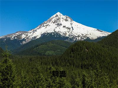 小说（鸩蛊）_段鸩晏安全文阅读_鸩蛊免费阅读大结局（免费+后续）