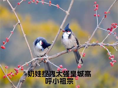 温冉冉小说奶娃捉鬼太强皇城高呼小祖宗全文免费阅读无弹窗-正版小说温冉冉全文阅读