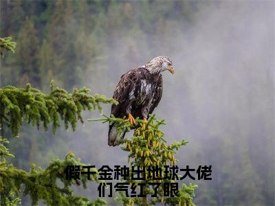 假千金种出地球大佬们气红了眼小说（安沙梨）全文免费阅读无弹窗大结局_（安沙梨免费阅读）最新章节列表_笔趣阁（安沙梨）