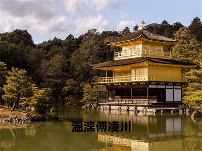 小说（温漓傅凌川）全文免费阅读_（温漓傅凌川）小说全文免费阅读