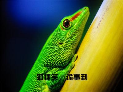 狐狸笑，诡事到（安饶小说）全文免费阅读无弹窗大结局_（安饶）小说最新章节列表