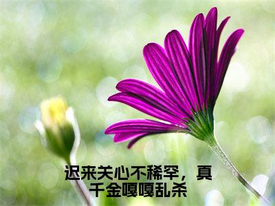 迟来关心不稀罕，真千金嘎嘎乱杀全网首发最新小说-唐念全文在线免费阅读