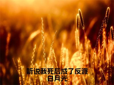 （听说我死后成了反派白月光）桑念小说小说全文免费桑念读最新章节列表笔趣阁（听说我死后成了反派白月光）