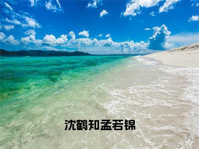 沈鹤知孟若锦（沈鹤知孟若锦）全文免费阅读无弹窗大结局_沈鹤知孟若锦免费最新章节列表_笔趣阁