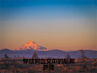 穿成狗血文中的总裁助理（池可江鼎）全文免费阅读无弹窗大结局_池可江鼎最新章节列表