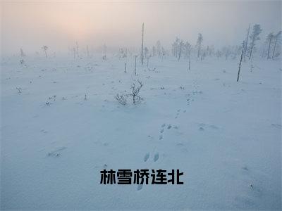 林雪桥连北全文小说（林雪桥连北）-完整版小说林雪桥连北（林雪桥连北）热文免费阅读