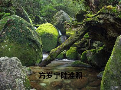 方岁宁陆淮煦（陆淮煦方岁宁）笔趣阁免费小说_方岁宁陆淮煦笔趣阁最新章节陆淮煦方岁宁免费在线阅读大结局