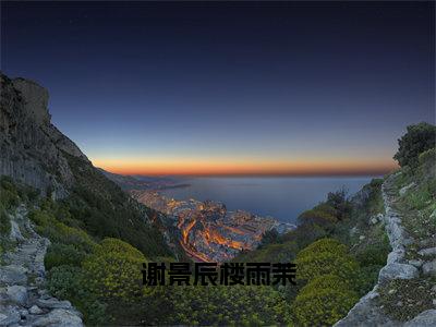 楼雨茉谢景辰（谢景辰楼雨茉）免费阅读无弹窗大结局-谢景辰楼雨茉（最新全章节大结局）全文阅读