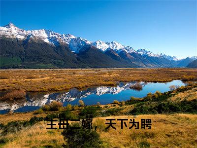 主母二嫁，天下为聘（凌舒止慕莞齐全文在线阅读）-主母二嫁，天下为聘（凌舒止慕莞齐）免费阅读无删减完整版