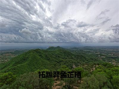 拓跋羿孟芷栖正版小说最新章节在线阅读-小说孟芷栖拓跋羿拓跋羿孟芷栖已完结全集大结局