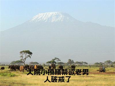 大院小撩精禁欲老男人破戒了阎仲毅夏小瑕免费阅读大结局无弹窗-大院小撩精禁欲老男人破戒了小说推荐阎仲毅夏小瑕精彩章节在线阅读