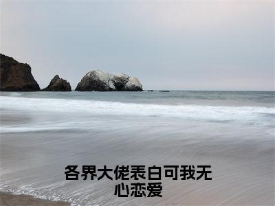 各界大佬表白可我无心恋爱小说全文免费阅读_季秋沈泊舟（季秋沈泊舟）最新章节列表笔趣阁