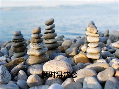 顾时浔沈念小说（顾时浔沈念）完整版大结局-顾时浔沈念小说免费阅读